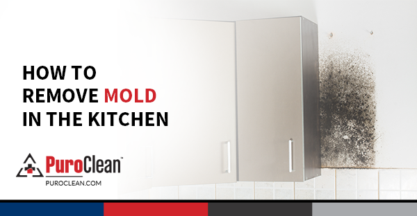 How to Remove Kitchen Mold