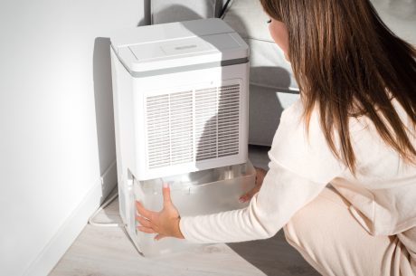 dehumidifier tips