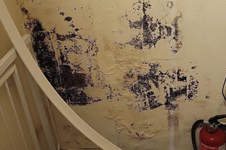 Water damage from a shower leak caused extensive mold growth in the closet wall.