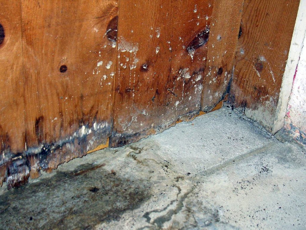 how to tell if my basement has water damage