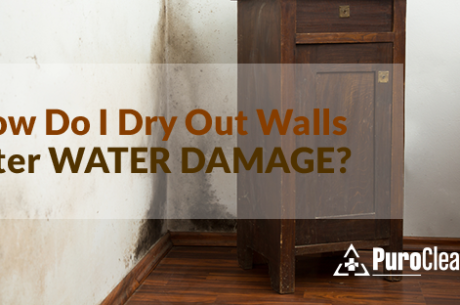 designed graphic with words. Caption "How do i dry out walls after water damage"