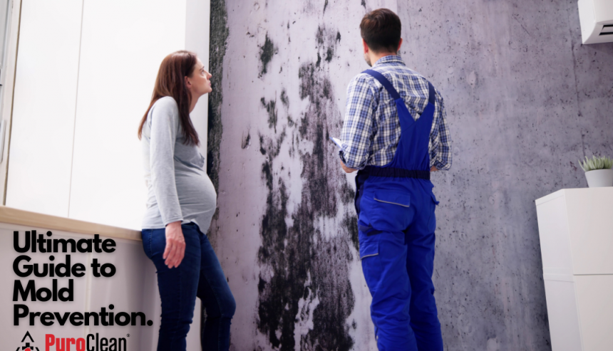 woman and man looking at moldy wall