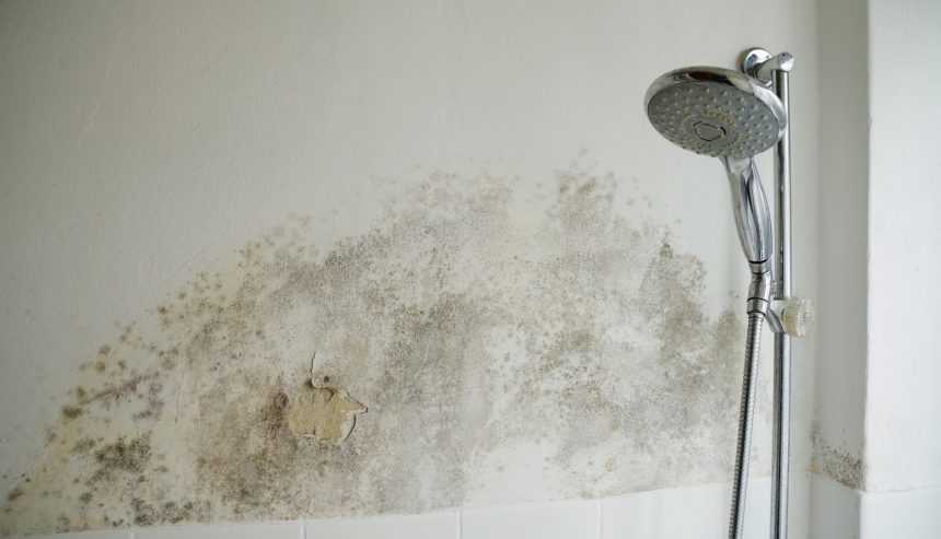 mold in the corner of the bathroom caused by previous water damage, is in need of remediation