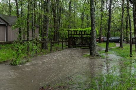 Stop Yard Flooding