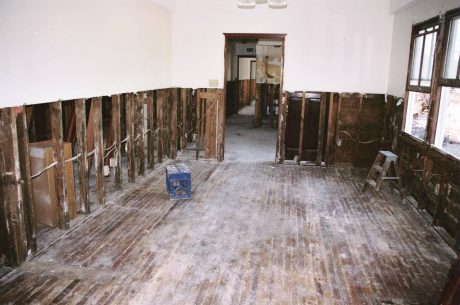 Mold after water damage