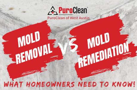 Mold removal