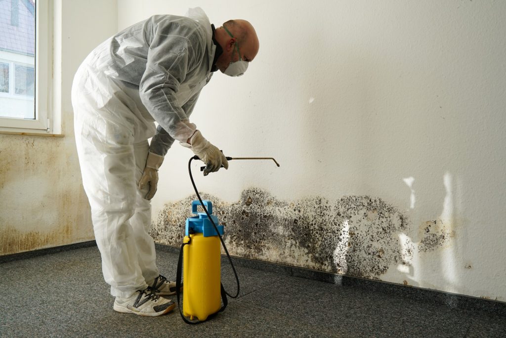 Mold removal in Lakeway