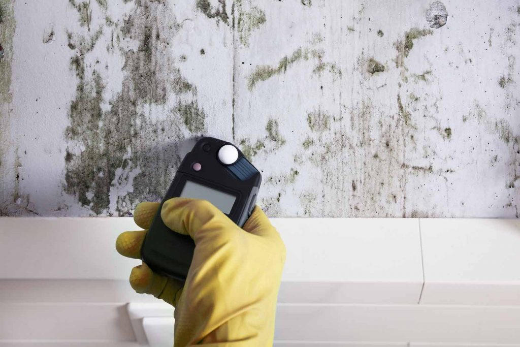 Black mold in Austin