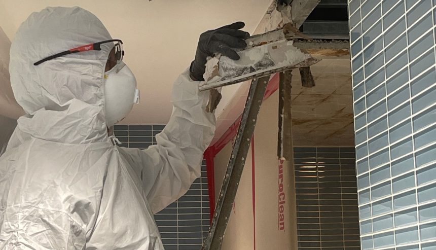 Technician inspecting bathroom ceiling mold.