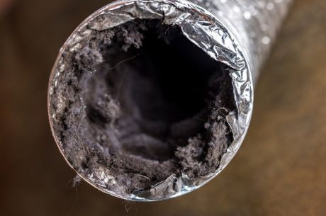 Air ducts can act as a breeding ground for mold growth due to high humidity or leaks.