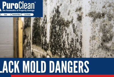 Black Mold