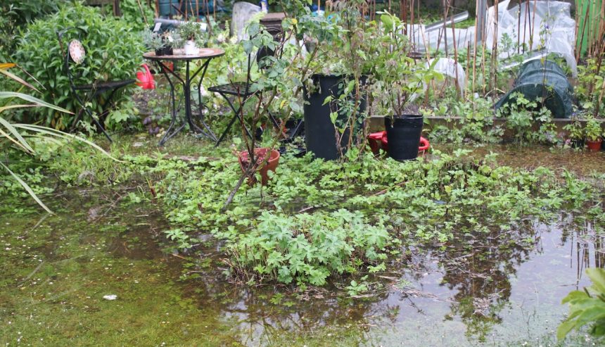 flooded garden in Bartlett