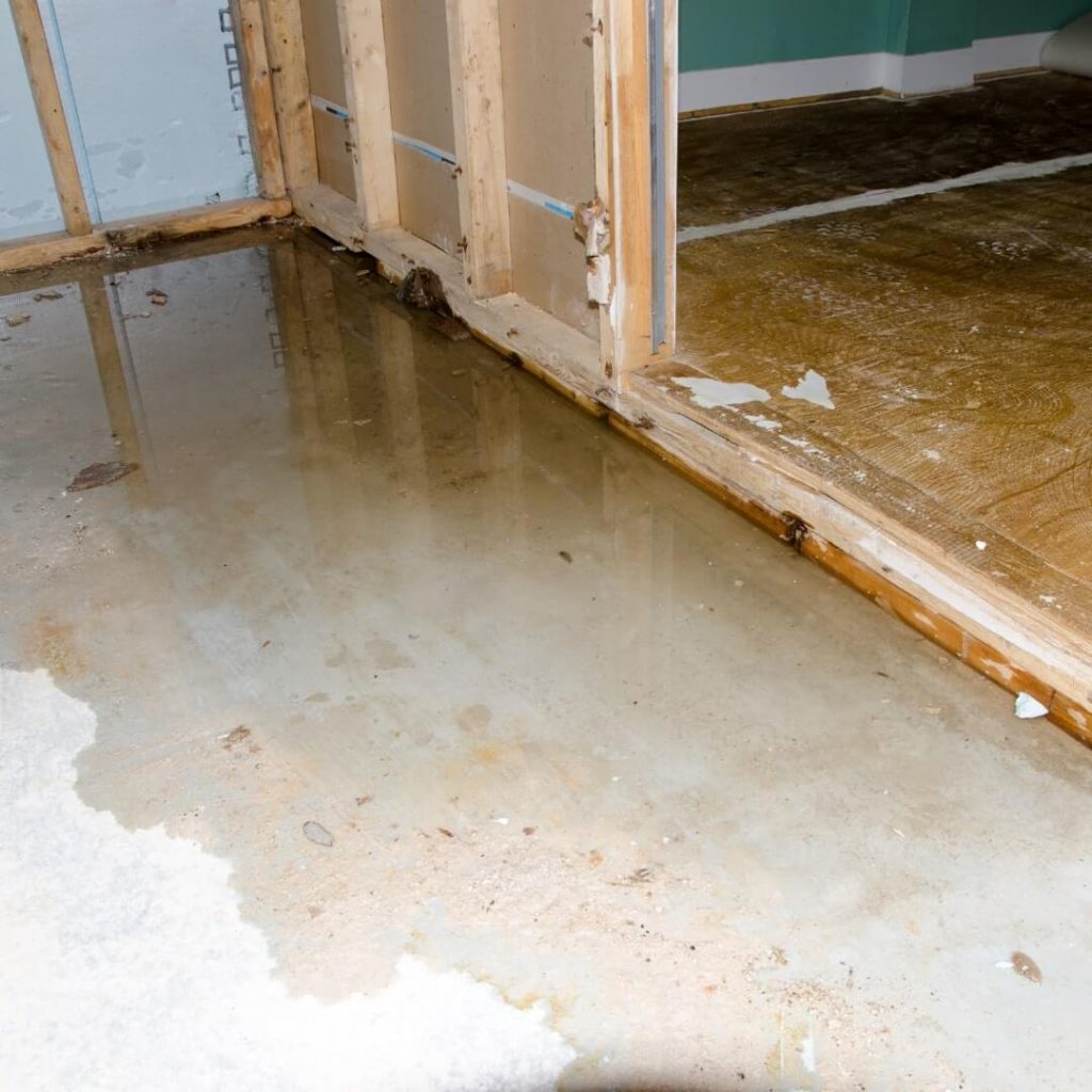 Water Mitigation vs Remediation