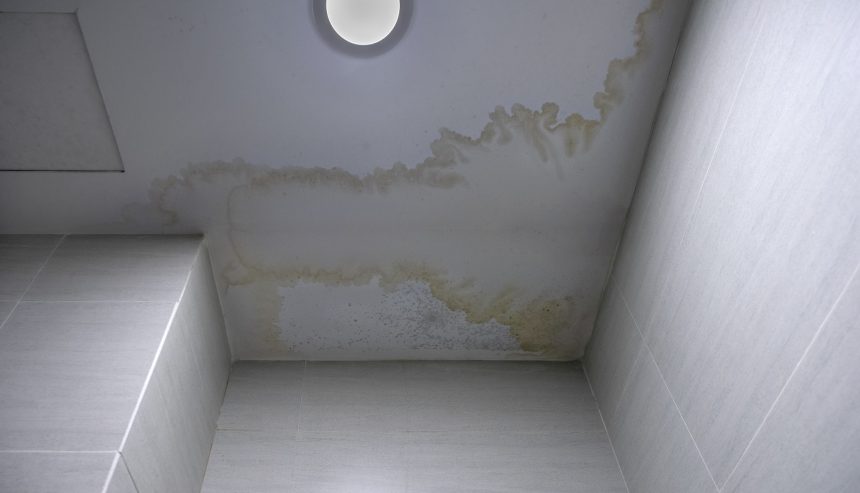 Mold Remediation