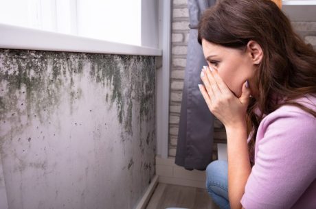 Difference Between Mold and Mildew