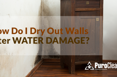 Dry Walls after water damage