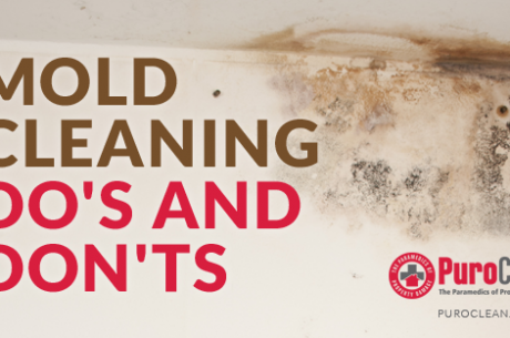 mold cleaning do and dont