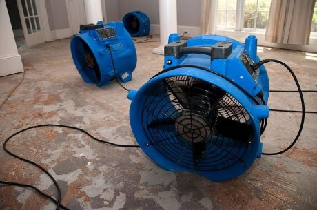 Water Damage Restoration in Sarasota