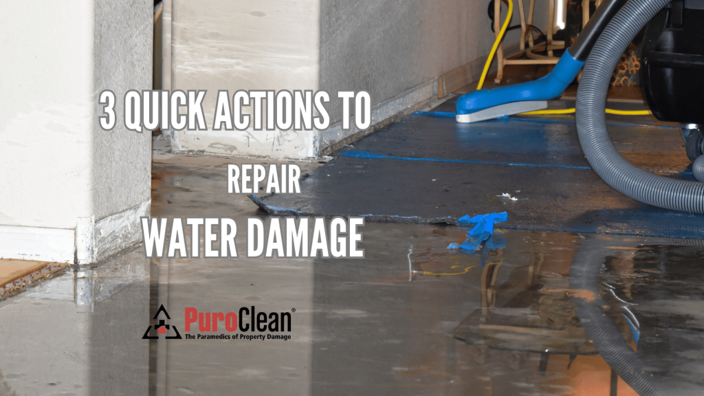 Repairing water damage