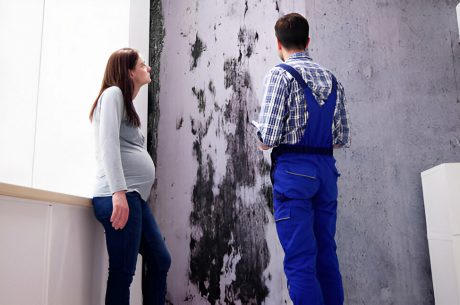 Mold can negatively impact real estate value