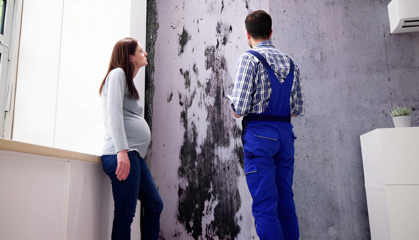 Mold can negatively impact real estate value