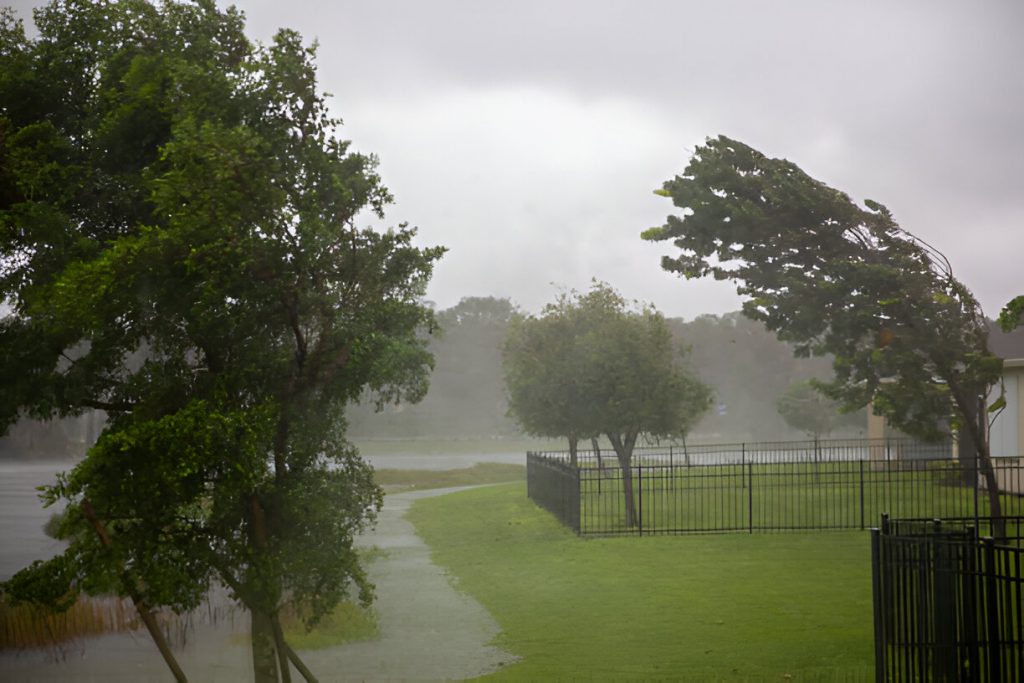 Heavy rain leads to water damage in Sarasota