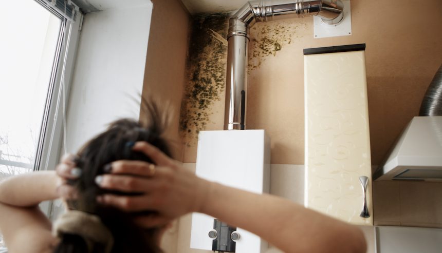 A woman finds mold during her spring cleaning endeavors