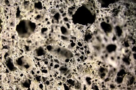 Black Mold