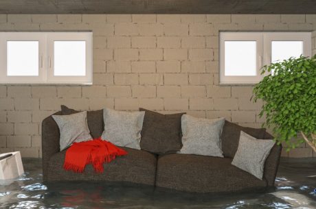 My Basement is Flooded! What Should I Do