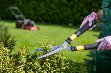 Trimming shrubs is part of seasonal maintenance