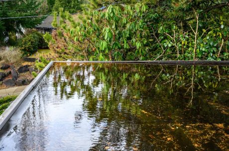 flat roof drainage