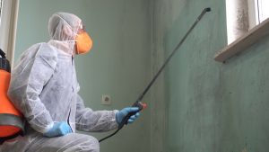 antimicrobial mold remediation