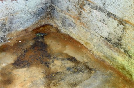 Mold in your crawlspace.