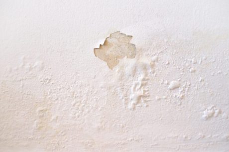 Dry out Walls After Water Damage