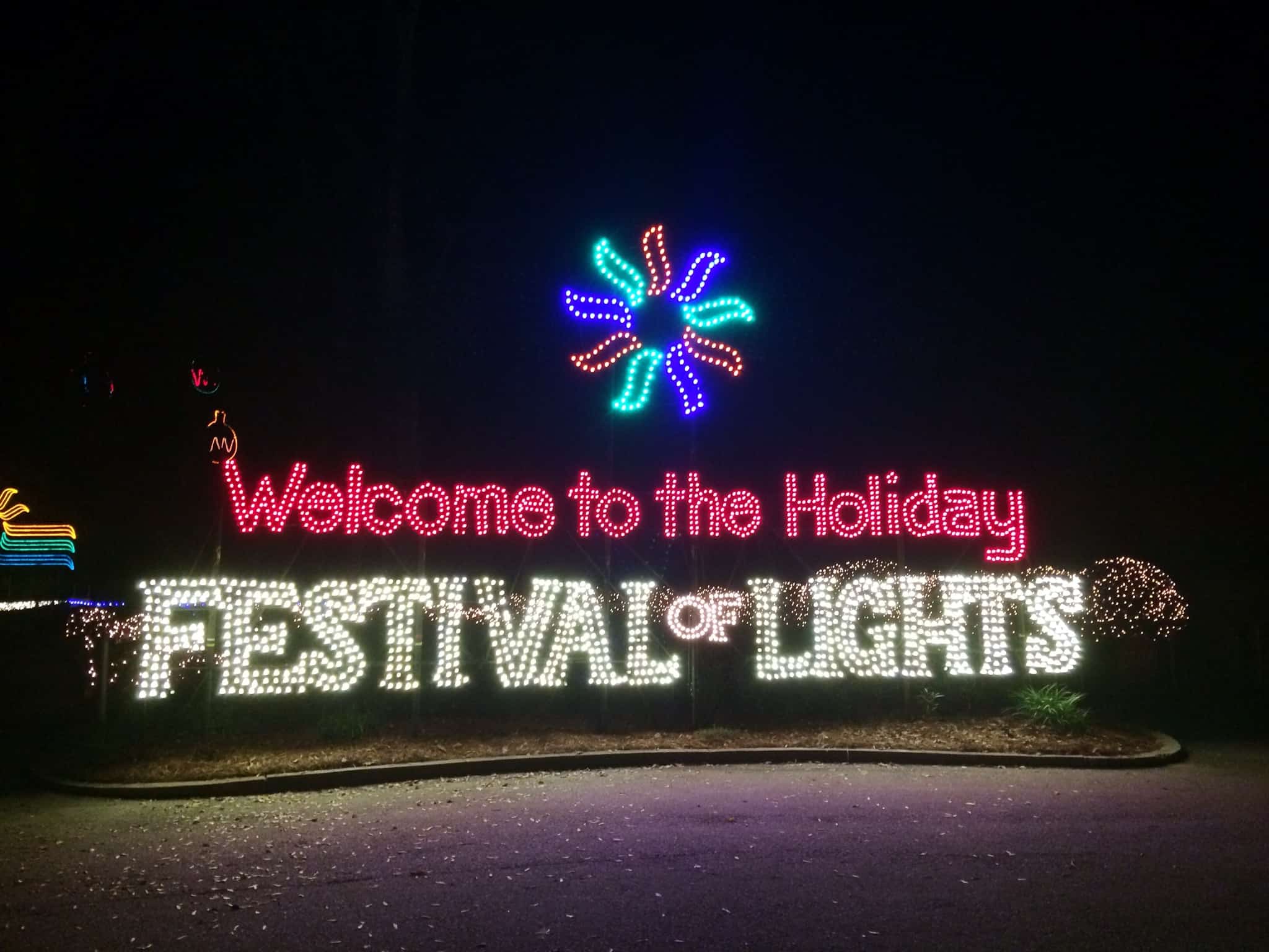 Holiday-Festival-of-Lights5