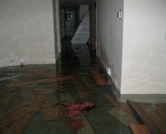 Standing water flood before water damage remediation by PuroClean Property Restoration Specialists Chicago IL