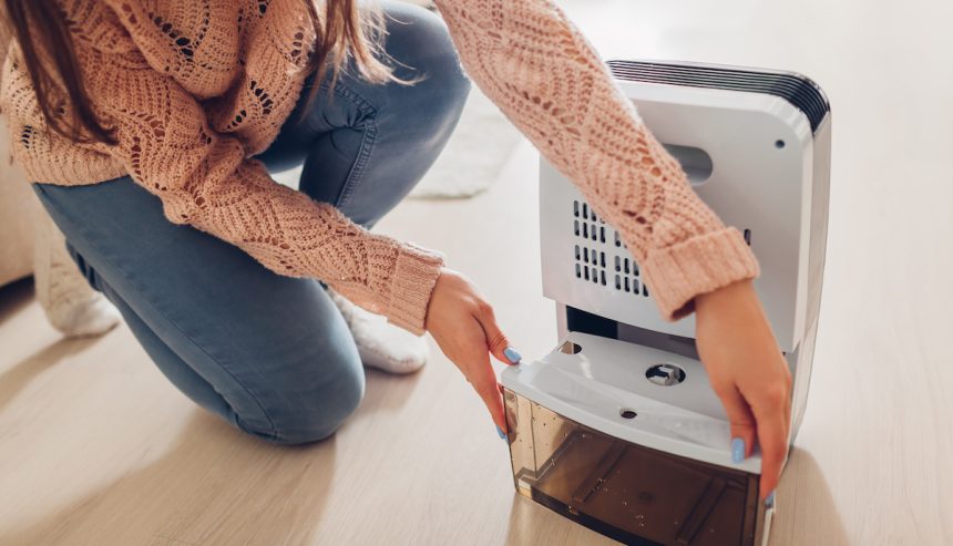 Using a Dehumidifier