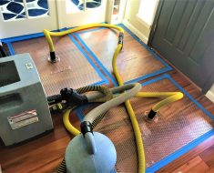 Wood Floor Drying