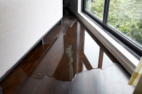 hardwood water damage