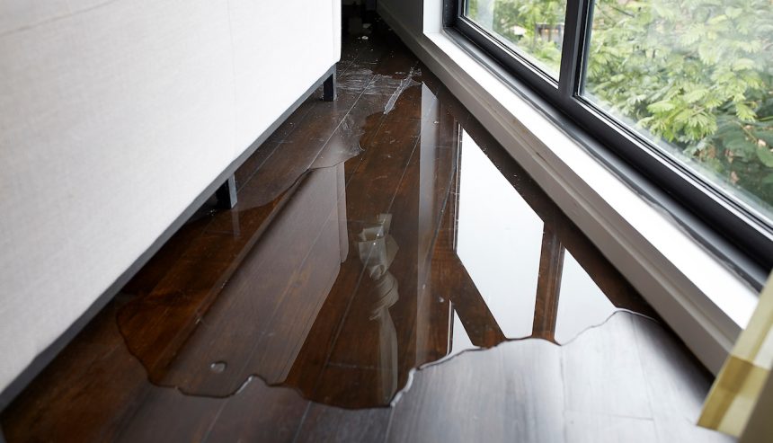 hardwood water damage