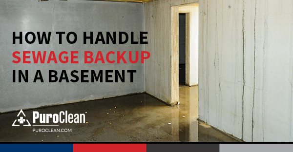 How to Handle Sewage Backup in a Basement