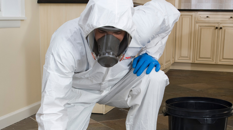 PuroClean Biohazard Cleanup Services - Technician