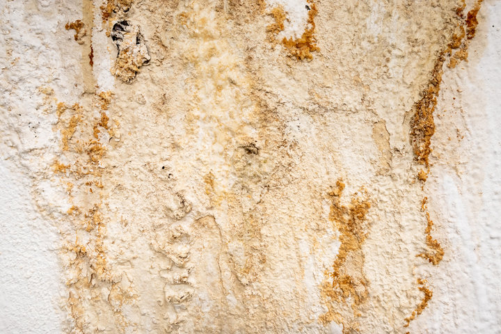 A water-stained wall from flood damage.