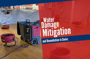 Water Damage Mitigation Davie