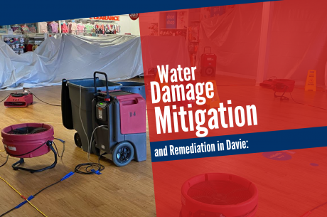 Water Damage Mitigation Davie