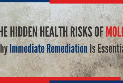 Health Risks of Mold