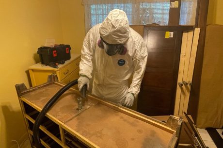 Mold Remediation