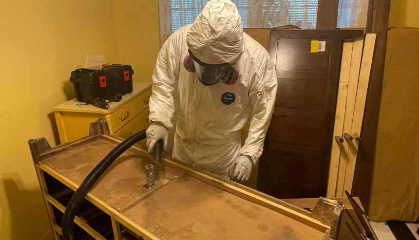 Mold Remediation