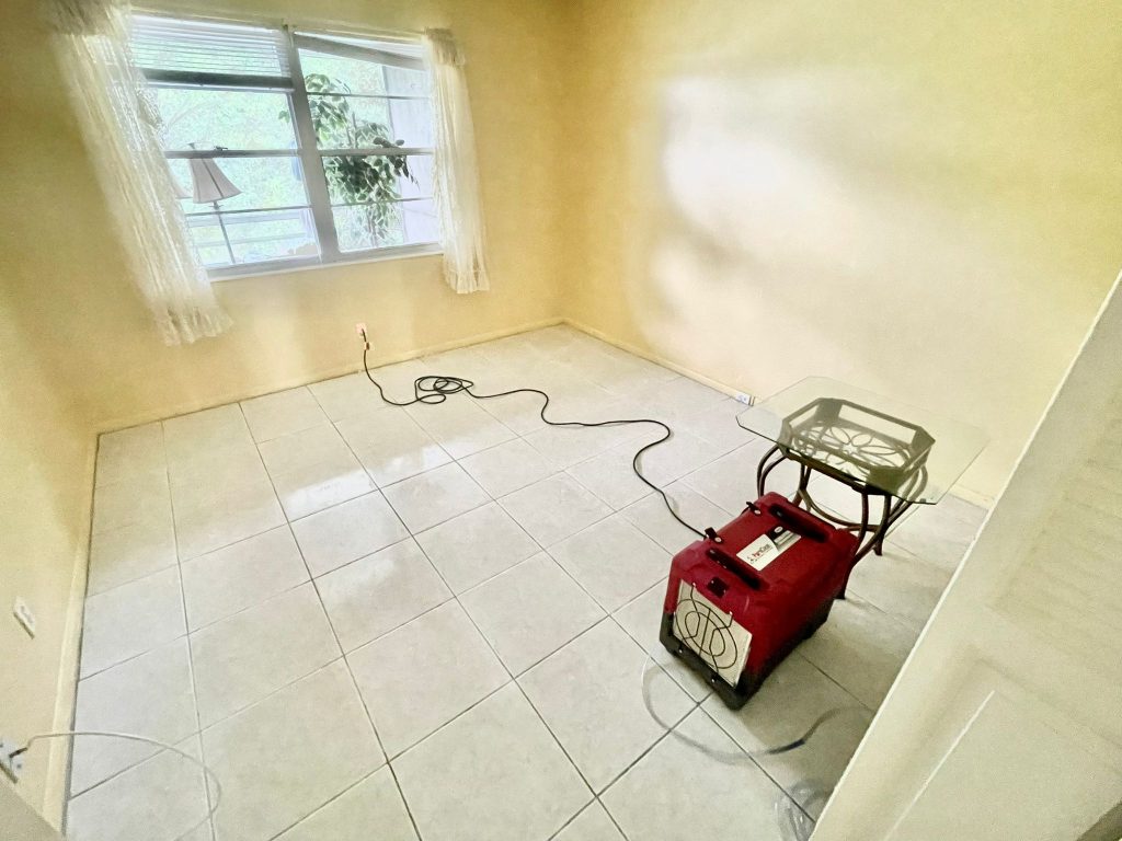 Mold infestation in Deerfield Beach