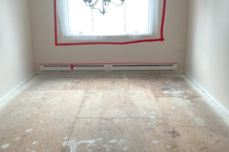 Mold Damage